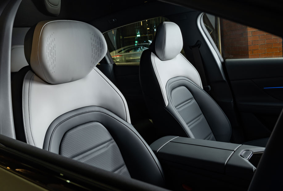 Interior Trims