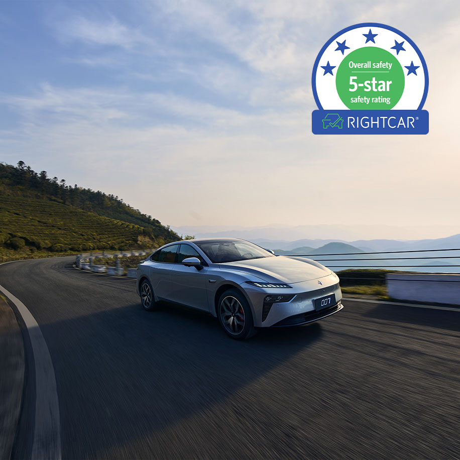 Safety & Driver Assistance